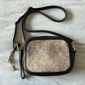 Fossil Crossbody Purse